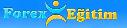  Forexegitim.net