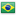 Português (Brasil)