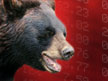Bearish