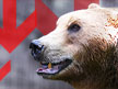 Bearish