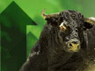 Bullish