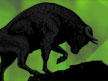 Bullish