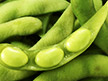 Soy